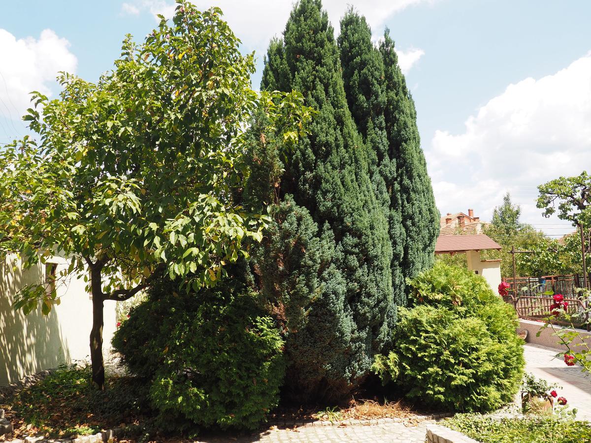 Guest House Stefanovic Vranje Dış mekan fotoğraf