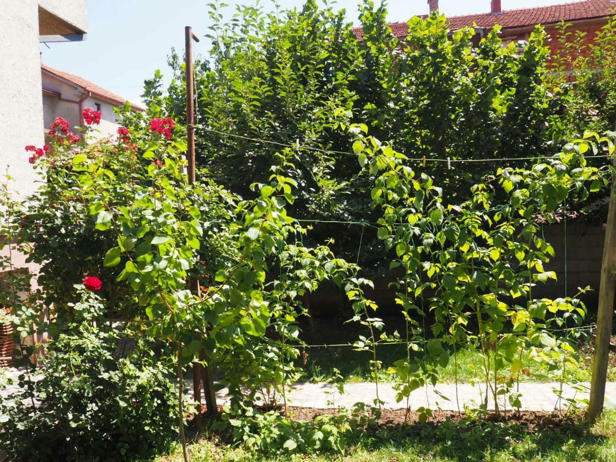 Guest House Stefanovic Vranje Dış mekan fotoğraf